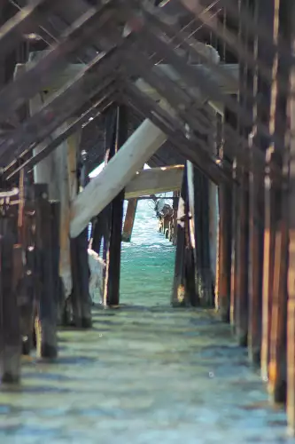 MondiLab Beach pavilion at the sea  (100072)