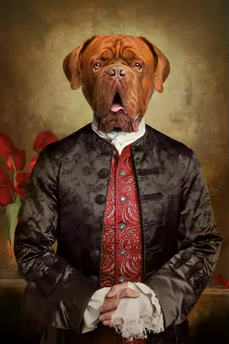 MondiLab Royal dogue de Bordeaux  (101574)