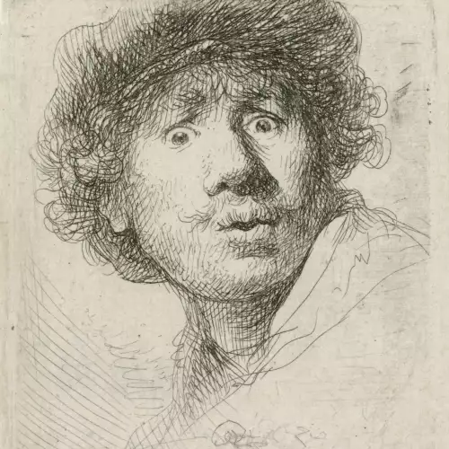 MondiLab Rembrandt selfie wide eyes  (101628)