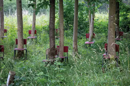 MondiLab Forest with trees & chairs  (101703)