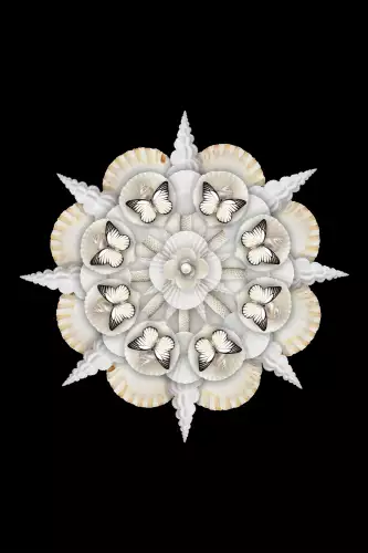 MondiLab White Kaleidoscope  (102332)