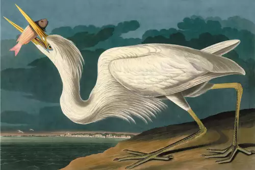 MondiLab Great White Heron  (102776)