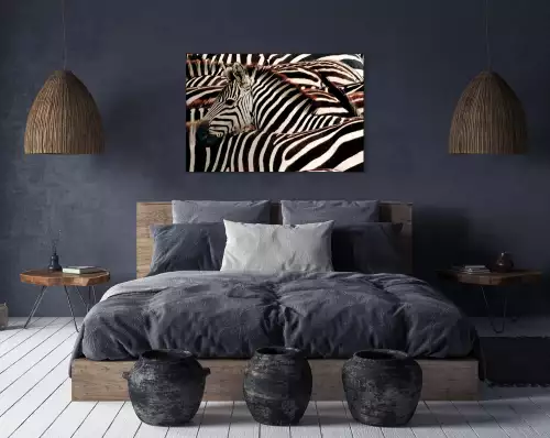 MondiLab Zebra  (102822)