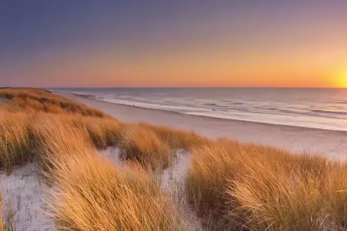 MondiLab Tall dunes with grass  (102858)