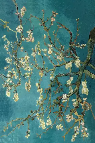 MondiLab Blossom - van Gogh  (103056)