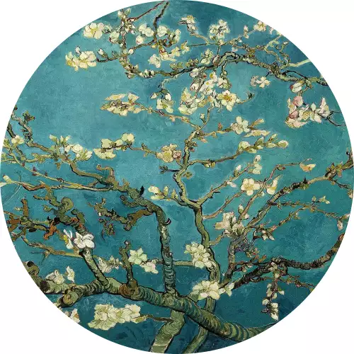 MondiLab Blossom - van Gogh  (103056)