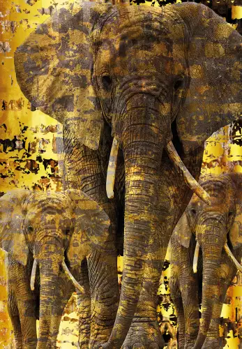 MondiLab Elephants  (103092)