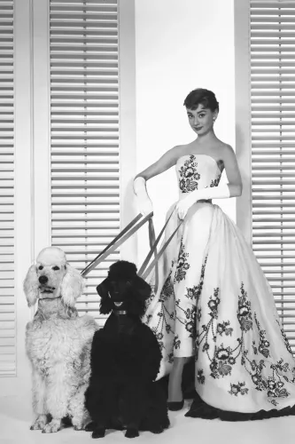 MondiLab Audrey Hepburn dogs (104814)